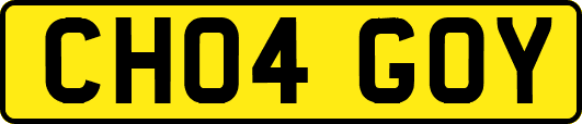 CH04GOY