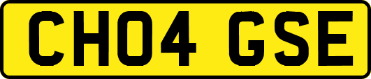 CH04GSE