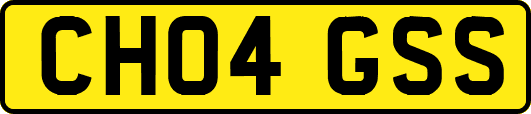 CH04GSS