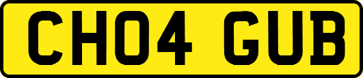 CH04GUB