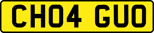 CH04GUO