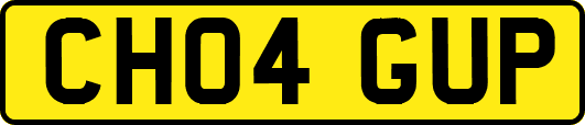CH04GUP
