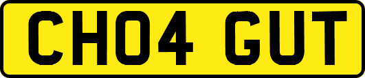 CH04GUT