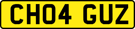 CH04GUZ