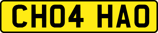 CH04HAO