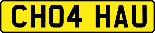 CH04HAU