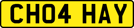 CH04HAY