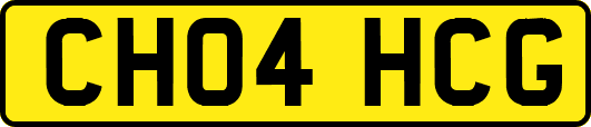 CH04HCG