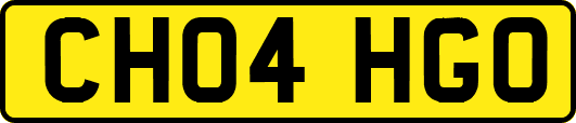 CH04HGO