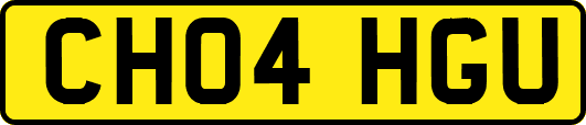 CH04HGU