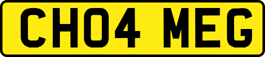 CH04MEG