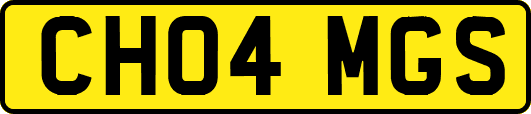 CH04MGS