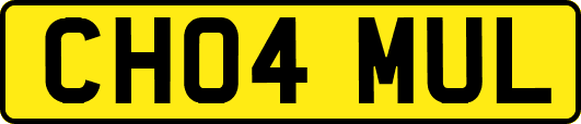 CH04MUL