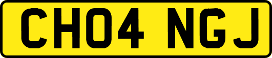 CH04NGJ