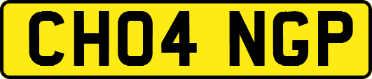 CH04NGP