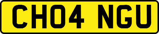 CH04NGU