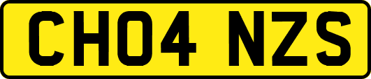 CH04NZS