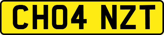 CH04NZT