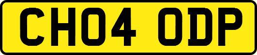 CH04ODP
