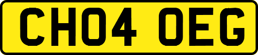CH04OEG