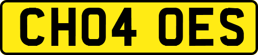 CH04OES