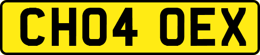 CH04OEX