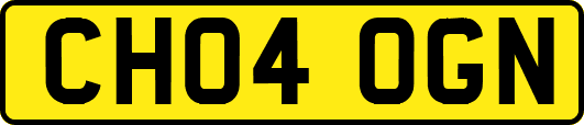 CH04OGN
