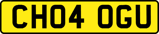 CH04OGU