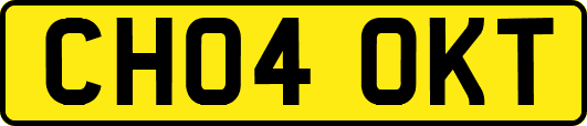 CH04OKT
