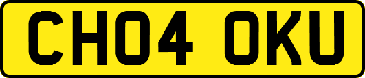 CH04OKU