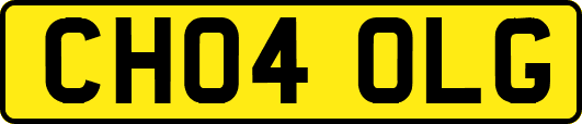 CH04OLG