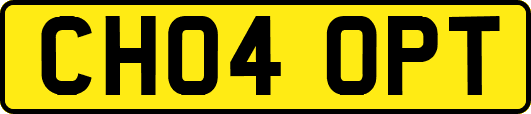 CH04OPT