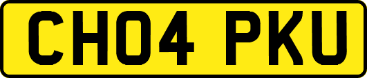 CH04PKU