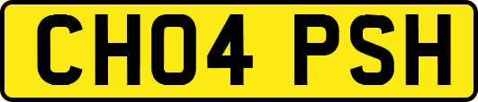 CH04PSH