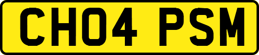 CH04PSM