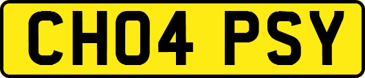 CH04PSY