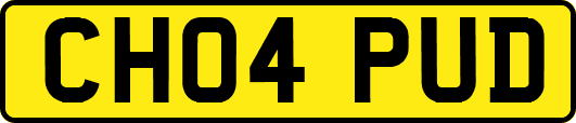 CH04PUD