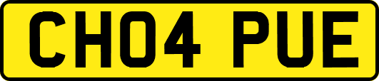 CH04PUE