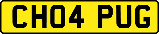CH04PUG