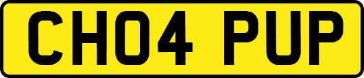 CH04PUP