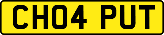 CH04PUT