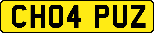 CH04PUZ