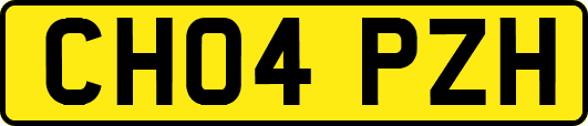 CH04PZH