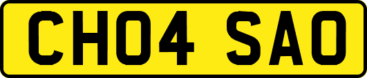 CH04SAO