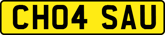 CH04SAU