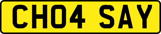 CH04SAY