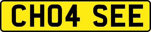 CH04SEE