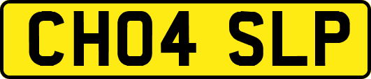CH04SLP