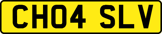 CH04SLV