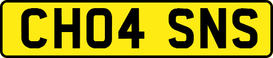 CH04SNS